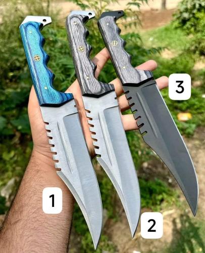 FB_IMG_1734835203854