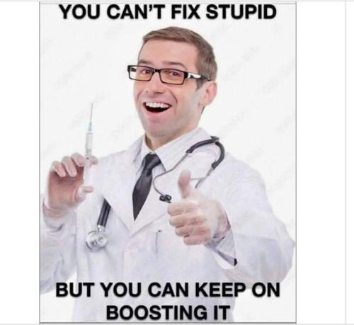 b4d1f8d2-04a1-4d3f-9f40-5895411676ff_964x886