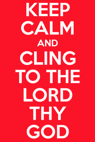 99f885ea13ff34440b36fc6c19dce415