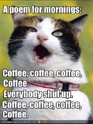 4f88d4c5b158d361de91d512e31e5fb7