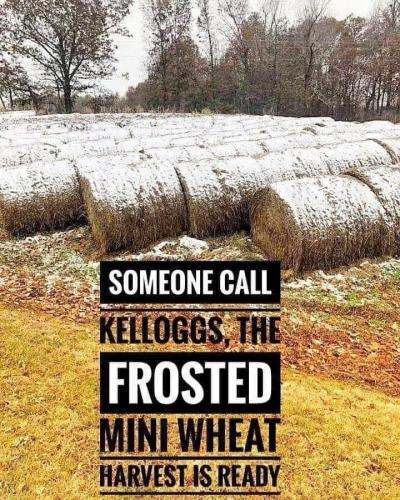 347AB509-6D41-4B84-BA5D-726B864436DF