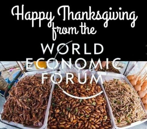 wef thanksgiving
