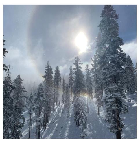 9bf277f5-c496-4a51-97d0-2caee429a32d