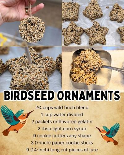 FB_IMG_1734887128821