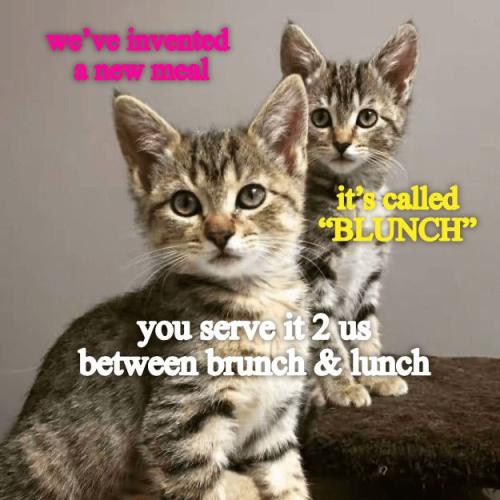 a925e2a868ecda43bb5ea41f26fd1878