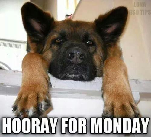 774a885ca2472e172f16eb3098f92ffd