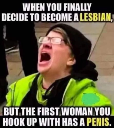 Screenshot_2024-12-07-23-42-25-76_a23b203fd3aafc6dcb84e438dda678b6