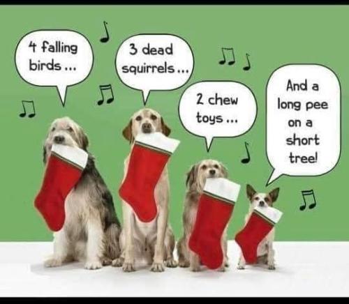 FB_IMG_1734051719383