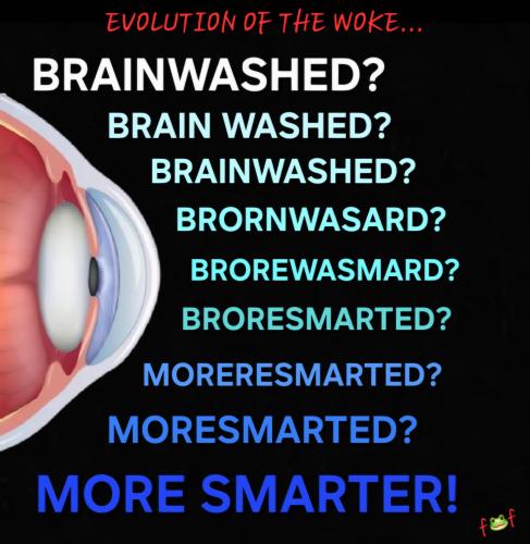 Screenshot_20241228_184054_Photo Editor