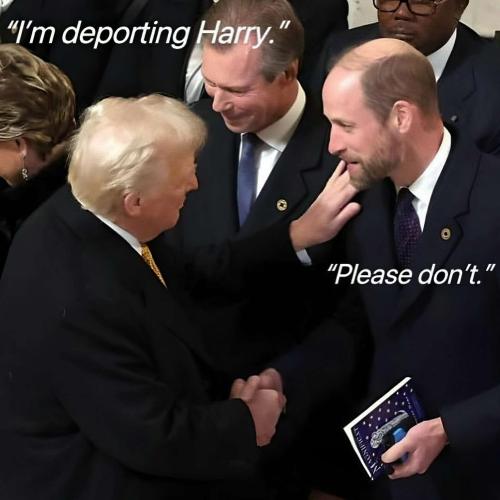 01JESZVC9J8QF3AYS873A9GSAG