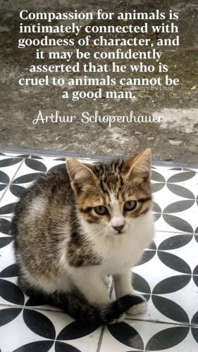 3935e341544b4bdc26786fc8a73aaa83