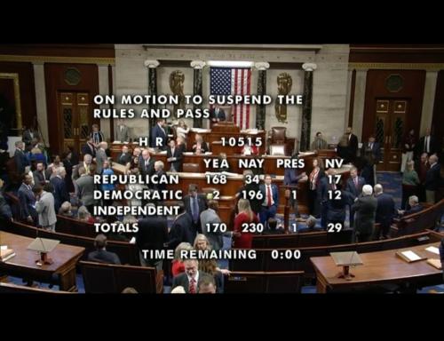 Screenshot_20241219_203331_X