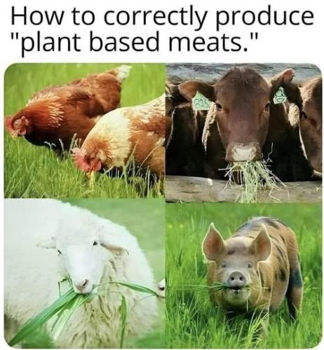 468668580_879732791032061_6418238547745514921_n