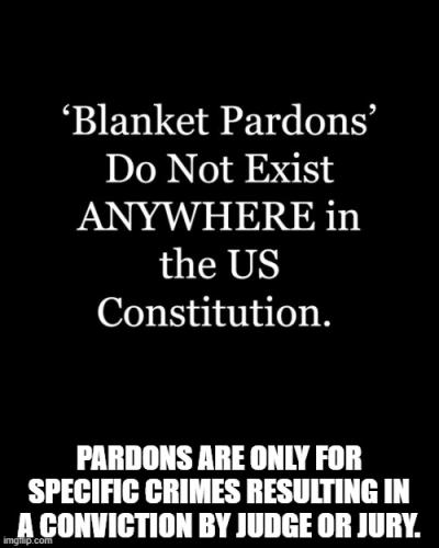 Pardons Constitution 2