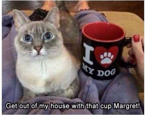 8aa1b8a712764627b28b8e61b42c4930