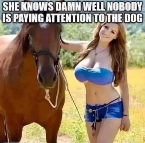 image_3DA935D9-7CFE-4065-A0C4-DF7021883D8C