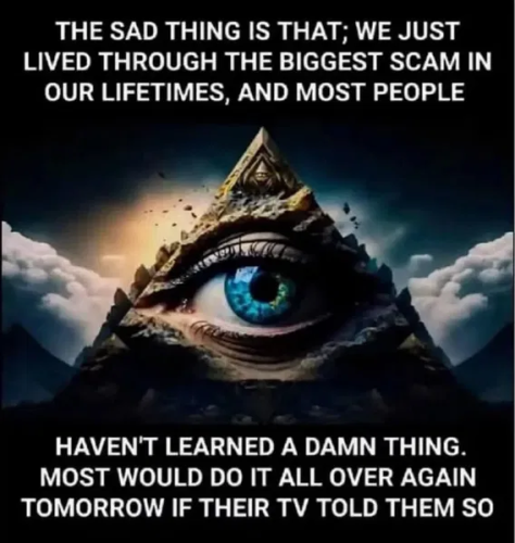 image_2024-12-20_062506749