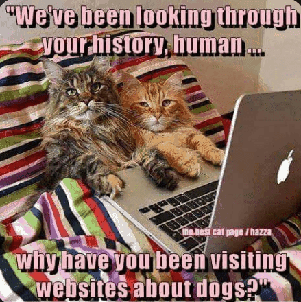 been-looking-through-history-human-best-cat-pagehazza-why-have-been-visiting-websites-about-dogs