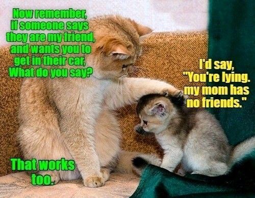 9f9308f07b086ed63a4225ae41b7fbed