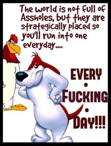 c591596396ac941d65102f5feac879cd