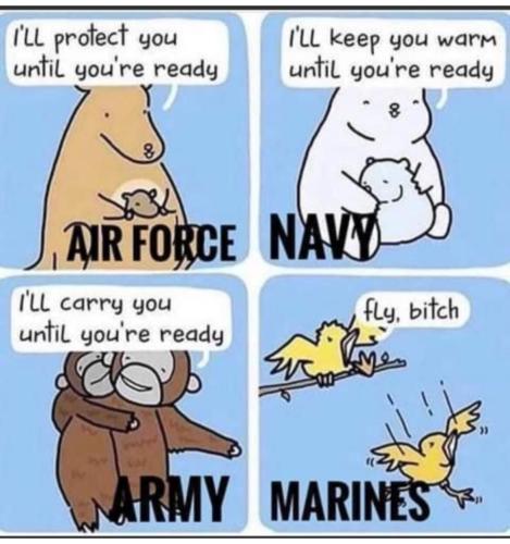 image_3709C26A-2DA3-4001-BEC5-46DEE1CE79E8