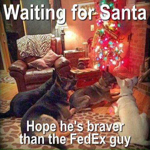 DB6C713F-D74E-4EF5-98FE-63940CB38B86