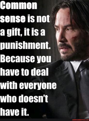 80484bb569d62780e360d6d20ce96398317bd26d034af2c4f41b034ae4dcb5c3_1