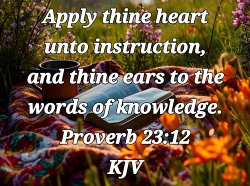 ec2e3a50-eae8-4b9d-b7ba-4ceed47091ab