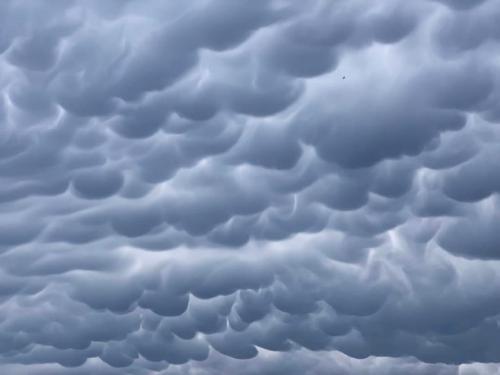 17dbc8f5-9130-46b5-9e7f-e6d3bf2d7960