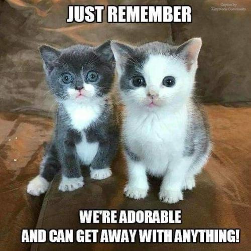 c352d3b289ebd14b48aec4902e58b457