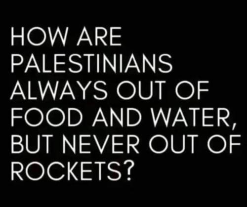 image_A06F32B3-4B1D-4F09-B796-C990203A8D35