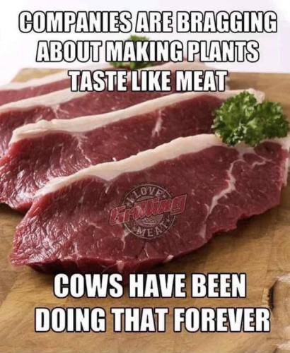 9dc5391c-c9e0-4fdc-916d-60aec8ca70ca