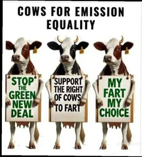 IMG_20241201_143717_311