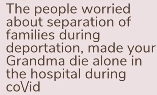 image_2024-12-03_063013025