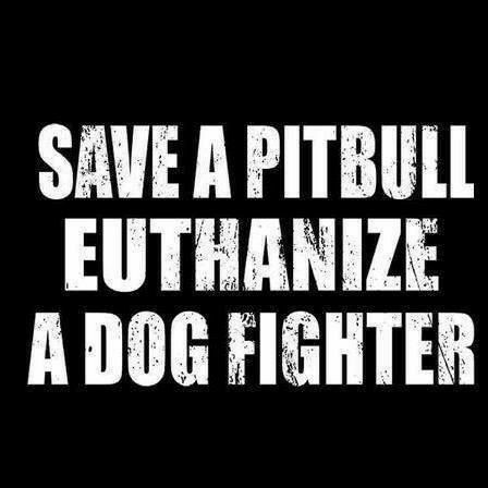 ba9e397a2c605dcabd6fbd9249cfc5f2