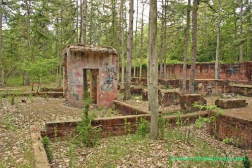 Pine Barrens, New Jersey 2