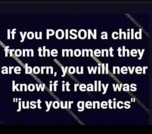 photo_2024-12-08_18-53-59