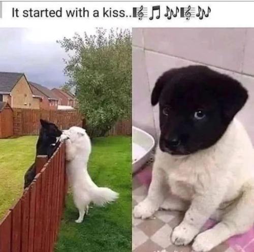 started-with-kiss