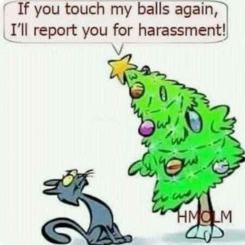 image_7F2D9ED3-18EF-45E2-B238-17121C0EAFBF