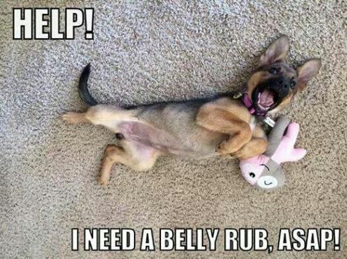 06036777d5311a907050d54551fdaa2f