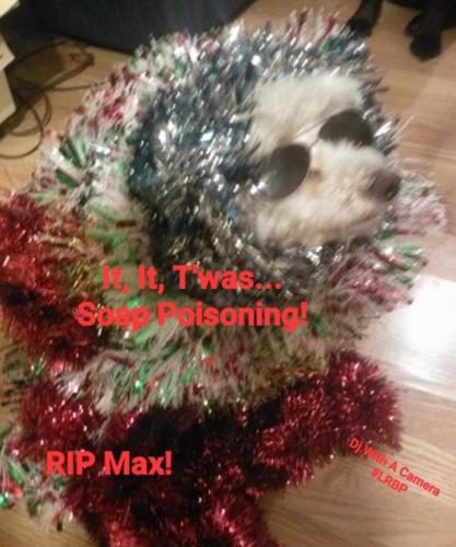 Screenshot_20241226_093740_Gallery