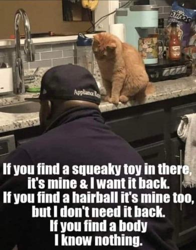 0dab4621e1b4cd1b13b212091c75bf31