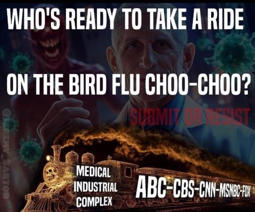 image_A4940A18-F01A-4F4E-A856-86F2F9A20456