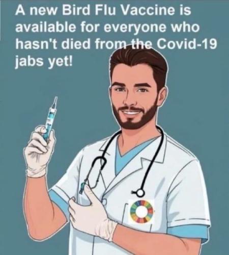 IMG_20241231_055018_224