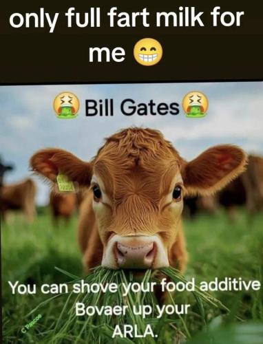 photo_2024-12-01_22-43-01