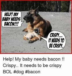 172c28fdc307365a4d25982a2931342f