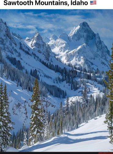 aac47dd52a2637d1bf3037ce302408b9ae383ba9295e00615673204ee88b2f76_1