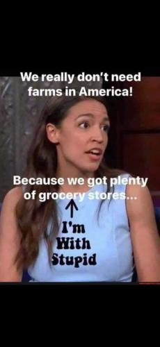 Screenshot_20241230_184950_Gallery