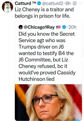 cd33fc32-523c-4deb-bc06-eefa497ca5a8