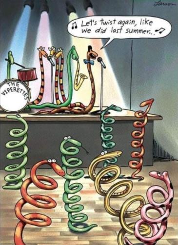 Screenshot_20241226_144522_Gallery